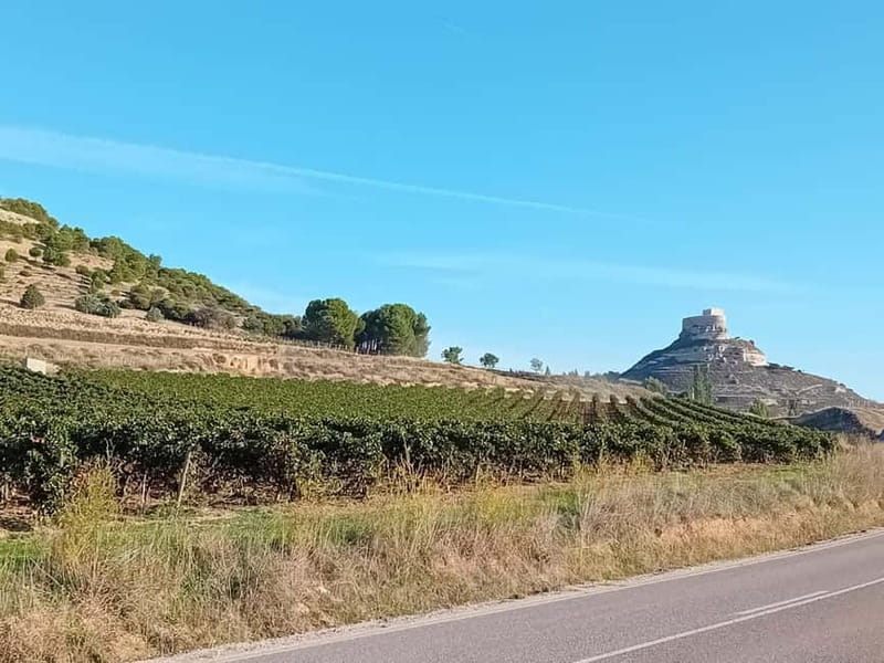 Ribera del Duero Tour From Madrid: 2 Wineries with Transport - Two Winery Visits and Guided Tastings of Three Wines Each