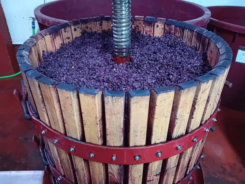 Ribera del Duero Tour From Madrid: 2 Wineries with Transport - Tempranillo, Terroir, and What the Guide Helps You Notice