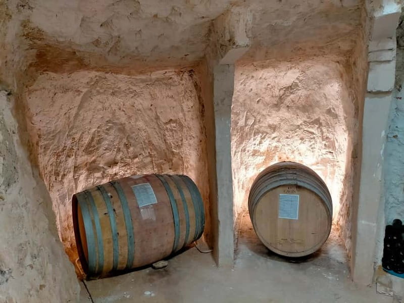 Ribera del Duero Tour From Madrid: 2 Wineries with Transport - Price and Value at $294: What You’re Really Buying