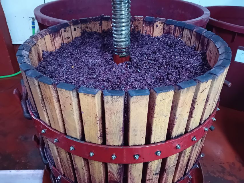 Ribera del Duero Tour From Madrid: 2 Wineries with Transport - Who This Tour Fits Best (And Who Might Want Something Else)