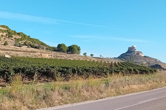 Ribera del Duero Tour: Three Wineries and Lunch from Madrid - Stop 2: the family winery under the vines (and taste from the barrel)