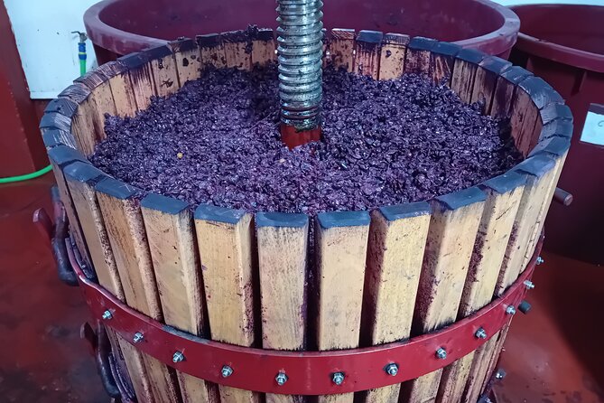 Ribera del Duero Tour: Three Wineries and Lunch from Madrid - Price and value: $475.89 for three wineries plus lunch