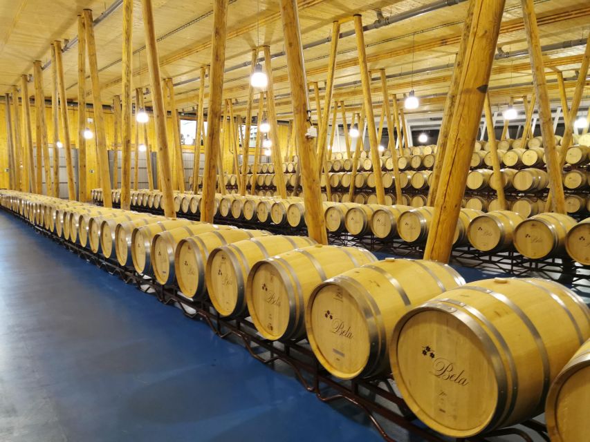 Ribera del Duero wine region private tour - Who this tour suits best, and who might not