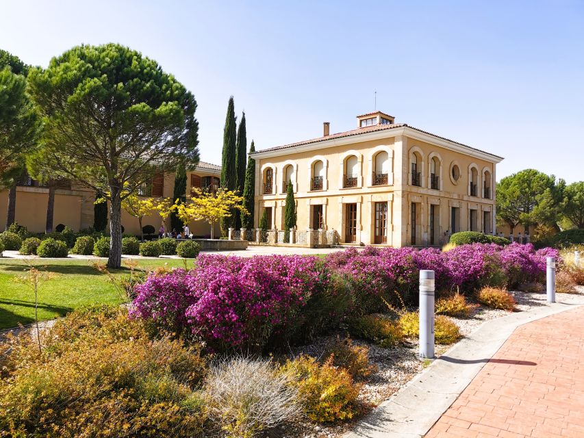 Ribera del Duero wine region private tour - Ribera del Duero in one day: why tempranillo feels different here