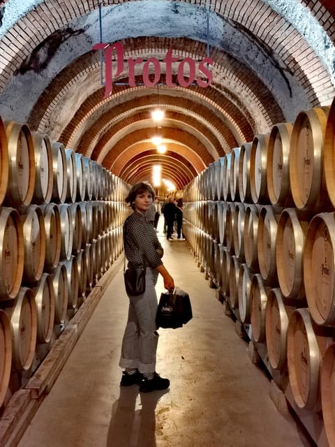 Ribera del Duero wine region private tour - Getting from Madrid: a long ride that sets up the day