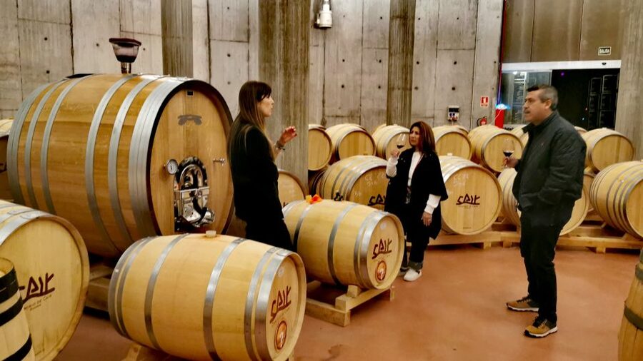 Ribera del Duero wine region private tour - Winery stop one: a modern build, vineyards, and barrel education