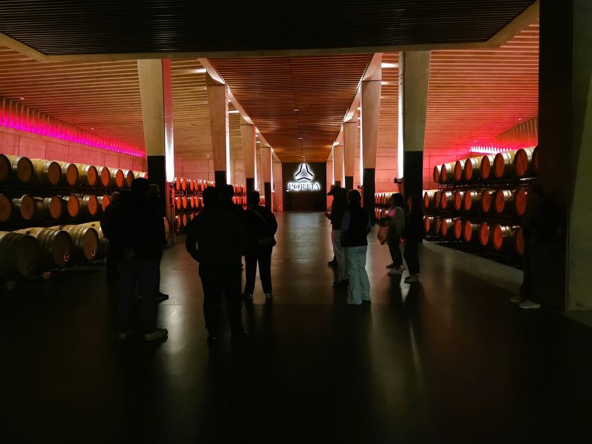 Ribera del Duero wine region private tour - Winery stop two: the 16th-century subway cellar and the DO connection