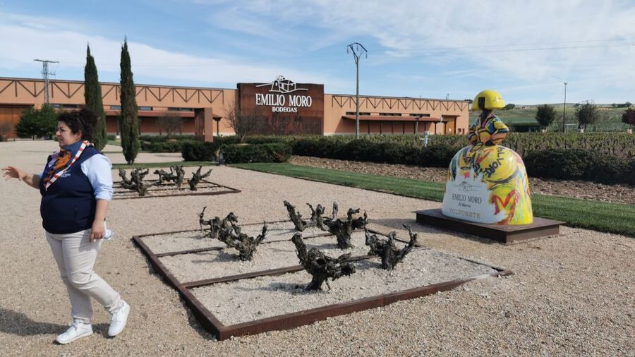 Ribera del Duero wine region private tour - Guide and driver details that actually matter on a wine day