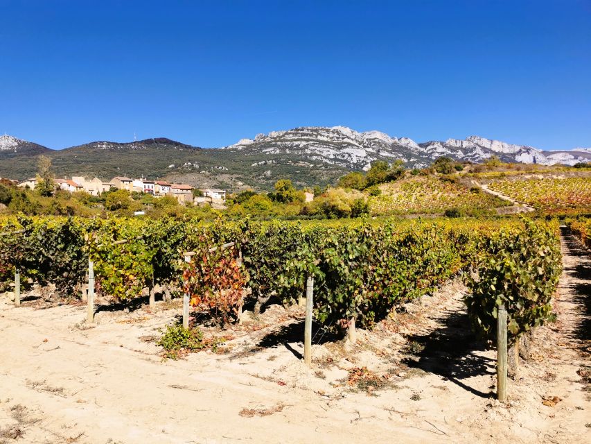 Ribera del Duero wine region private tour - Price and value: what the $412 per person covers