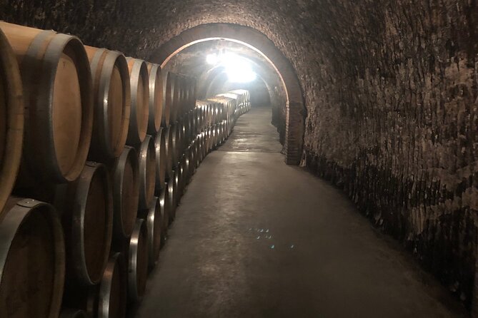 Ribera del Duero Wine Tour: Two Wineries and Tasting - Key Things I’d Prioritize on This Tour