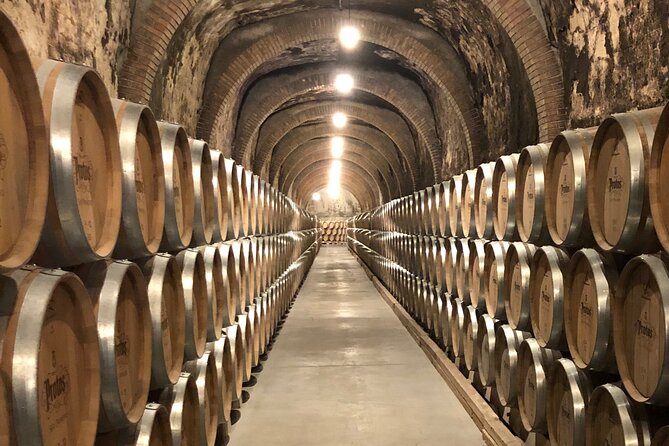 Ribera del Duero Wine Tour: Two Wineries and Tasting - Madrid to Ribera del Duero: A Long Day, But an Easy One