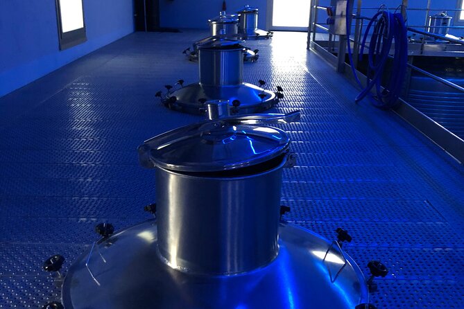 Ribera del Duero Wine Tour: Two Wineries and Tasting - Cathedral Ageing Room: Where the Tasting Makes Sense
