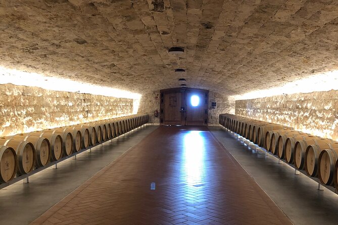 Ribera del Duero Wine Tour: Two Wineries and Tasting - Ismael Arroyo in Val Sotillo: D.O Context and Underground Tunnels