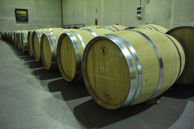 Ribera del Duero Wineries Guided Tour & Wine Tasting from Madrid - Ribera del Duero is all about Tempranillo, not just wine drinking