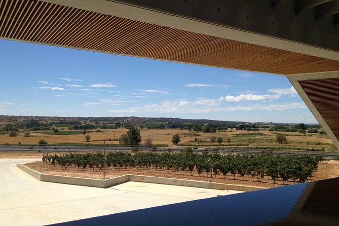 Ribera del Duero Wineries Guided Tour & Wine Tasting from Madrid - Curiel de Duero’s underground cellar: the stop you remember