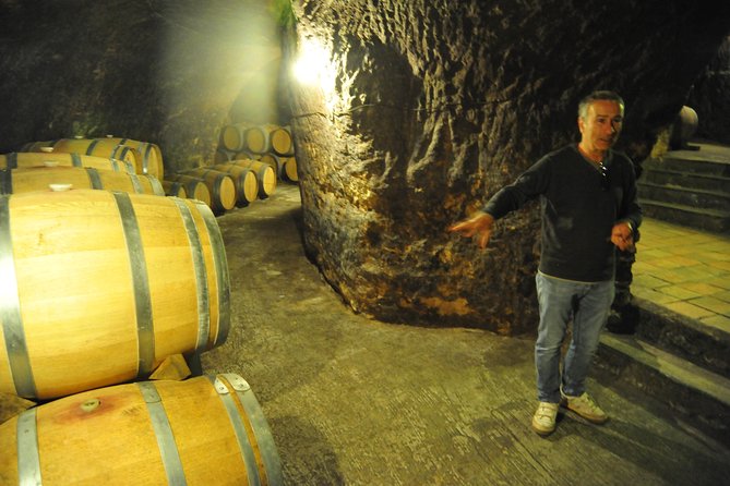 Ribera del Duero Wineries Guided Tour & Wine Tasting from Madrid - What “included” really means: tastings plus food plus guide time