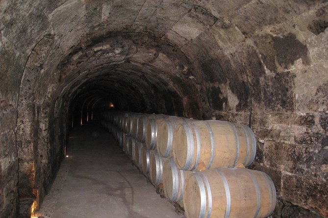 Ribera del Duero Wineries Guided Tour & Wine Tasting from Madrid - The drive out: why the transfer is part of the day