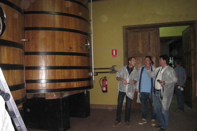Ribera del Duero Winery Guided Tour and Wine Tasting from Madrid - Stop 1 in Ribera del Duero: tastings that teach as much as they please