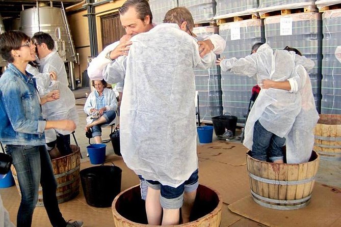 Ribera del Duero Winery Guided Tour and Wine Tasting from Madrid - How lunch on your own can improve the day (not spoil it)