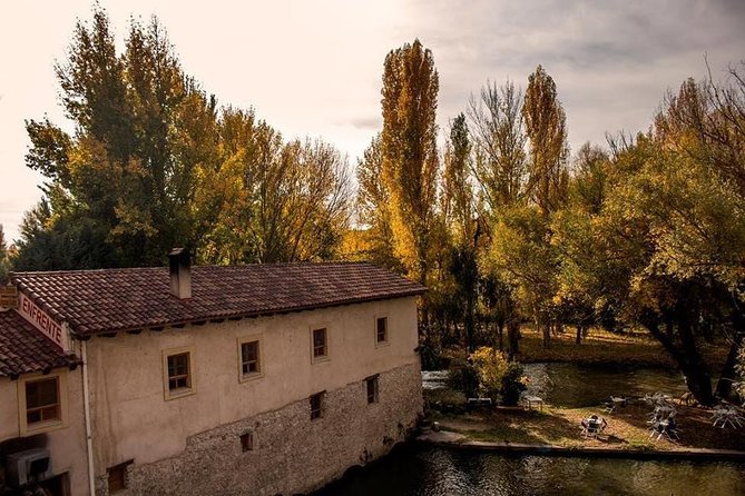 Ribera del Duero Winery Guided Tour and Wine Tasting from Madrid - Stop 2 winery: where you start comparing styles for real