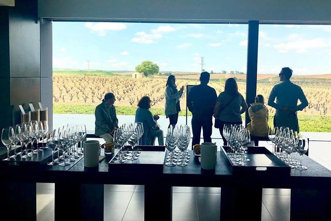 Ribera del Duero Winery Guided Tour and Wine Tasting from Madrid - Late-afternoon castles and medieval towns: the part that makes the day feel bigger