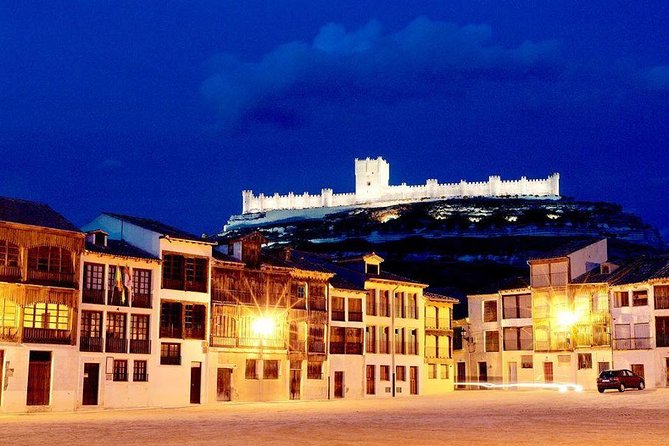 Ribera del Duero Winery Guided Tour and Wine Tasting from Madrid - Small-group pacing: the difference between a tour and a day with a guide