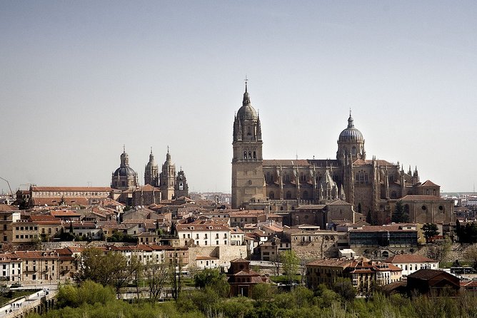Salamanca and Avila Private Tour from Madrid with Hotel Pickup - Catedral Nueva and the Gothic-to-Baroque Mix You’ll Notice