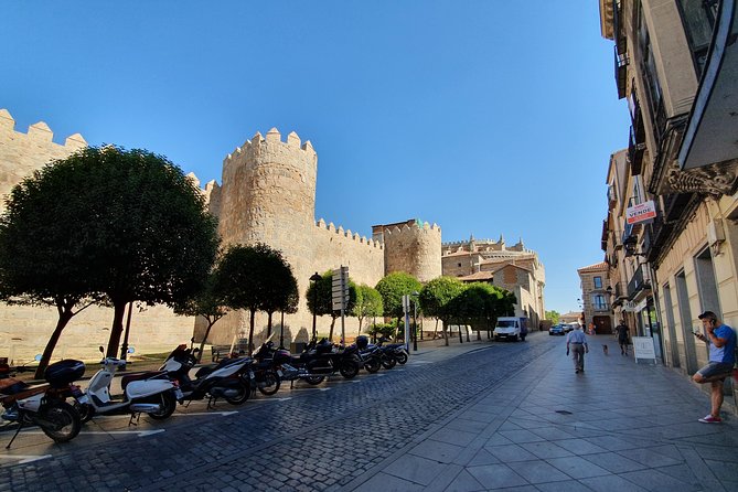 Salamanca and Avila Private Tour from Madrid with Hotel Pickup - Universidad de Salamanca: The Oldest University and the Frog Clue
