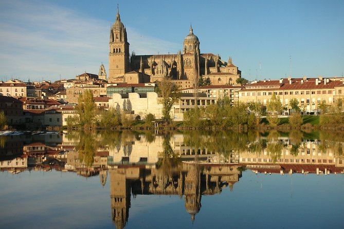 Salamanca and Avila Private Tour from Madrid with Hotel Pickup - Hotel Pickup and the Rhythm of an 8–10 Hour Schedule