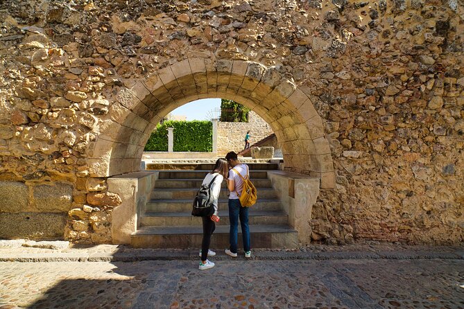 Segovia and Avila Guided Tour and Flamenco Show in Madrid - Morning in Segovia: aqueduct views, squares, and the Alcázar moment