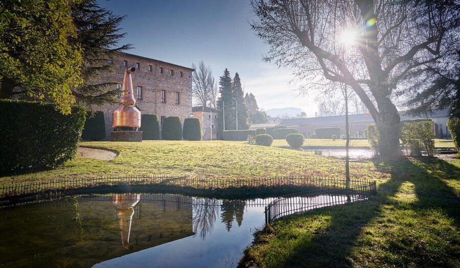 Segovia: Guided tour of the DYC Distillery with whiskey tasting - Exclusive shop access: collaborations with Spanish brands