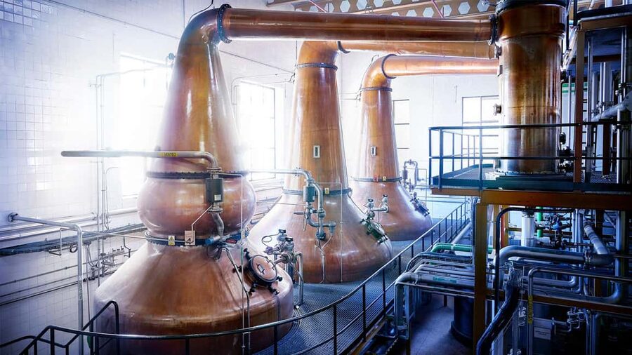 Segovia: Guided tour of the DYC Distillery with whiskey tasting - The 2-hour flow: from malt production rooms to your tasting flight