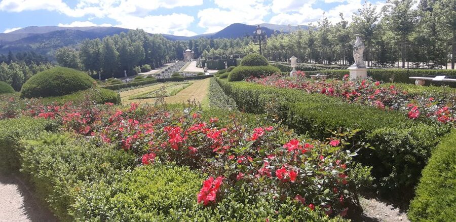 Segovia: Royal Palace of La Granja de San Ildefonso Tour - Who should book this La Granja tour?