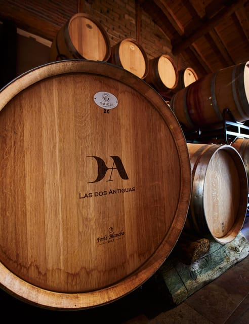 Segovia: Winery Tour with Wine Tasting - Quick Take: What Makes This Winery Tour Worth Your Time