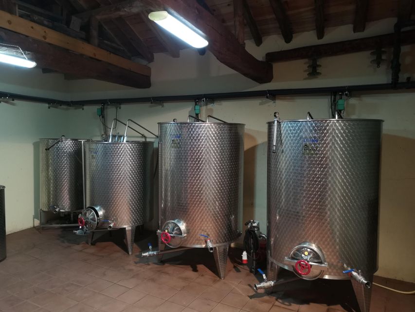 Segovia: Winery Tour with Wine Tasting - The 1-Hour Guided Tour: What You Learn About Red and White