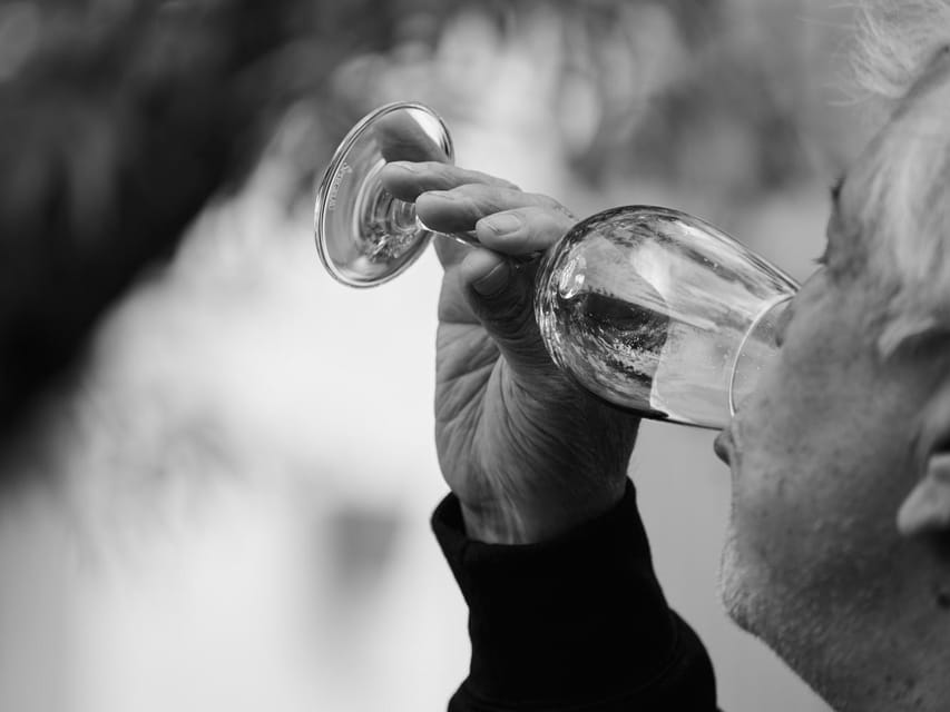 Segovia: Winery Tour with Wine Tasting - Should You Book This Winery Tour Near Segovia?