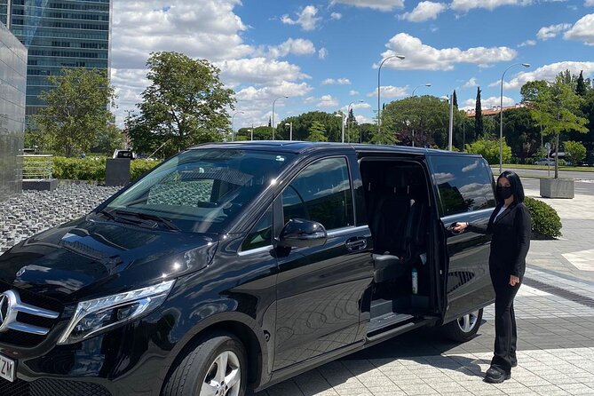 Shuttle Transfer Arrivals: Madrid Airport to City Center - Key Points You’ll Care About