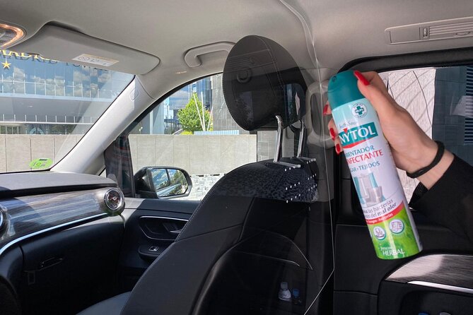 Shuttle Transfer Arrivals: Madrid Airport to City Center - The Ride Into Central Madrid: Comfortable, Air-Conditioned, Direct