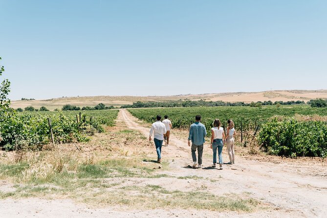 Spanish Villages & Winery Visit with Wine Tasting and Tapas Lunch - Price and Value: What $209.31 Buys You