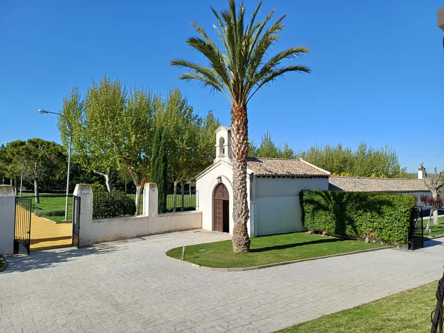 Toledo: Casa del Valle Winery Tour and Wine Tasting - Vineyard Walk in Toledo’s Tajo Valley Terroir
