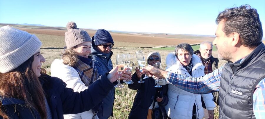 Toledo: Hot Air Balloon Ride with Spanish Breakfast - After Landing: Picnic, Champagne Tasting, and Cava Toast