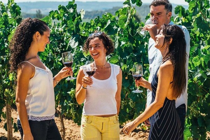 Toledo Tour & Vineyard Walk with Wine Tasting from Madrid - From Plaza de San Miguel to Toledo: how the day starts