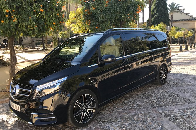 Transfer from the Airport to Madrid - The Ride in a Clean Mercedes Van With a Pro Driver