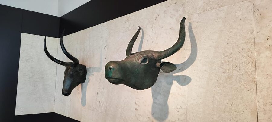 Visit the National Archaeological Museum in Madrid - Prehistory that clicks: why the Altamira angle is worth your time