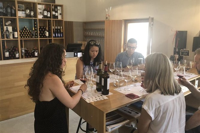 Windmills of Don Quixote Wine Tour & Tasting from Madrid - Wine tasting: how to get more than four sips