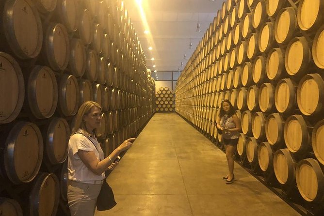 Windmills of Don Quixote Wine Tour & Tasting from Madrid - Don Quixote stops: Cervantes flavor without a museum marathon