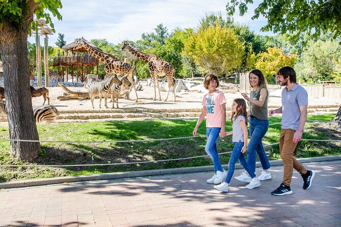 Zoo Aquarium Madrid Admission Ticket - Key highlights worth knowing before you go