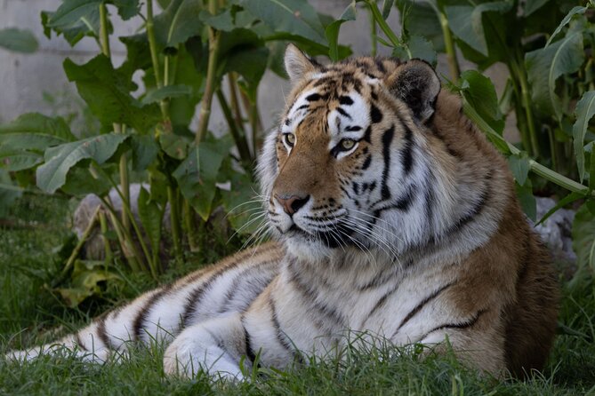 Zoo Aquarium Madrid Admission Ticket - Aquarium and aviary: when indoor spaces help (and when they don’t)