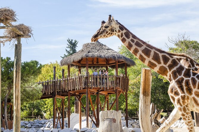 Zoo Aquarium Madrid Admission Ticket - Shows and feedings: your built-in schedule, not just entertainment